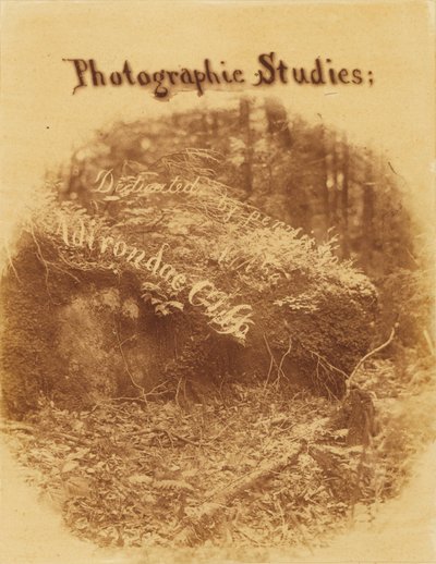 Sans titre, tiré du portfolio The Forest : Bois des Adirondacks - William James Stillman