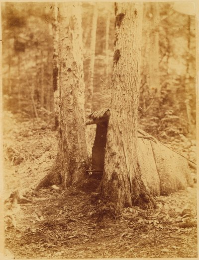 Sans titre, tiré du portfolio The Forest : Bois des Adirondacks - William James Stillman