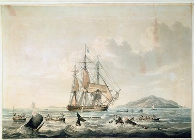 Pêche à la baleine en mer du Sud, gravée par T. Sutherland - William John (after) Huggins