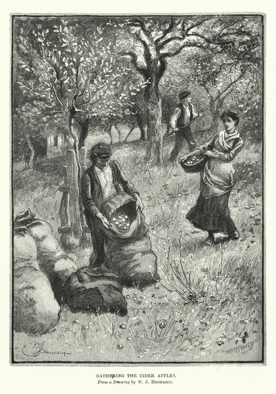 Récolte des pommes à cidre - William John Hennessy