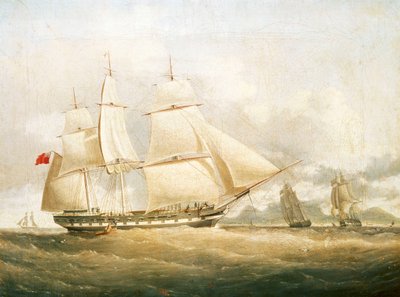 Le navire 