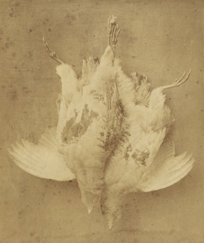 Le premier septembre - William Lake Price