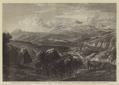 Matin, vue dans les Highlands de Braemar, dans l