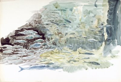 Vue sous-marine d