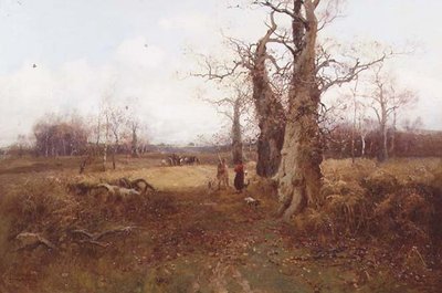 Paysage d