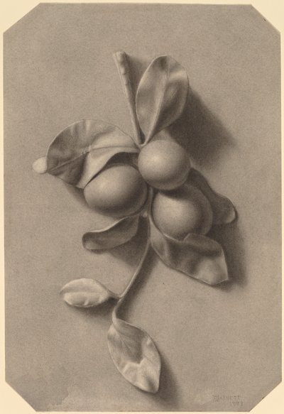 Une branche de prunes - William Michael Harnett