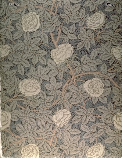 Design de papier peint 