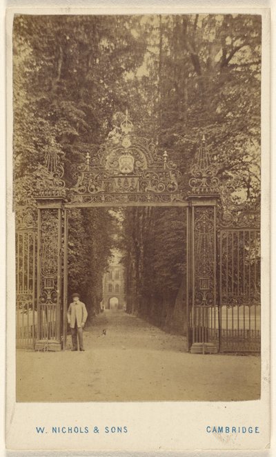 Trinity Cole Avenue - William Nichols and Sons