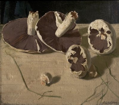 Champignons - William Nicholson