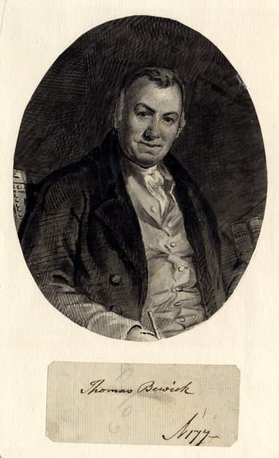 Portrait de Thomas Bewick - William Nicholson