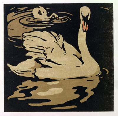 Le Beau Cygne, illustration de 