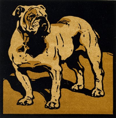 Le Bulldog Britannique, de 
