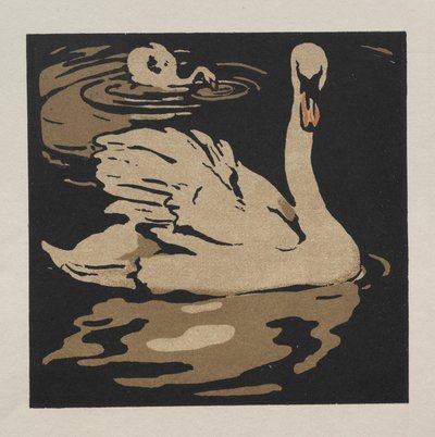 Le Livre Carré des Animaux : Le Beau Cygne - William Nicholson