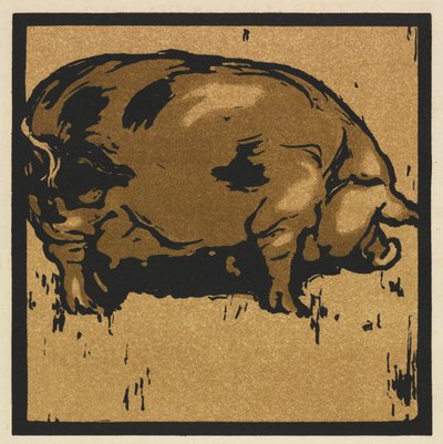 Le Livre Carré des Animaux : Le Cochon Savant - William Nicholson