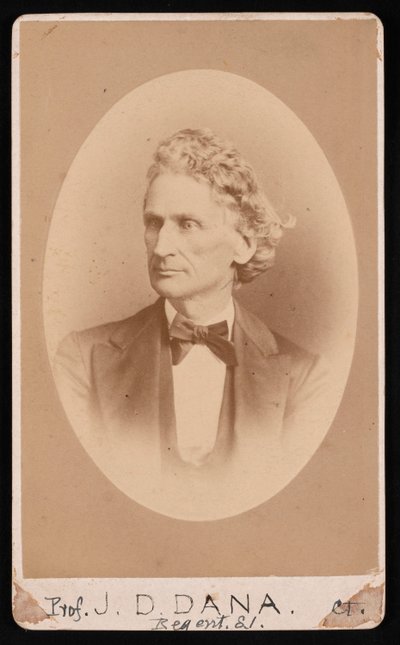 Portrait de James Dwight Dana - William Notman