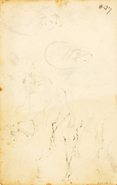 (Études - figures, rondins, cheval et cavalier, etc.) - William Page