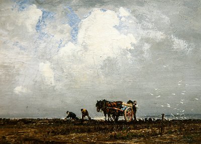 Récolte d