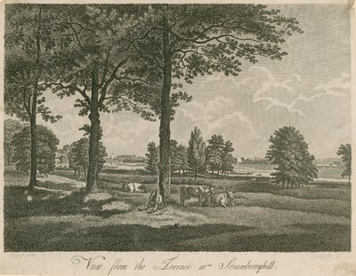 Vue depuis la terrasse de Strawberry Hill, Londres - William Pars