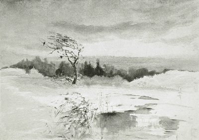 Paysage avec eau et arbre balayé par le vent - William Parsons Winchester  Dana
