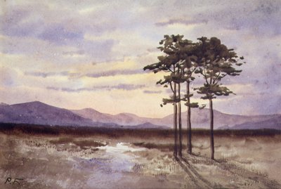 Coucher de soleil, Comté de Sligo - William Percy French
