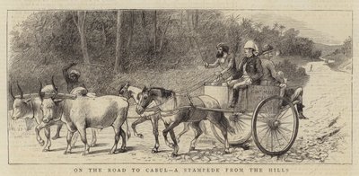Sur la route de Kaboul, une débandade des collines - William Ralston