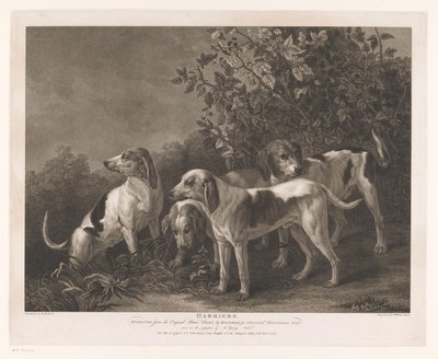Quatre chiens de chasse - William Satchwell Leney