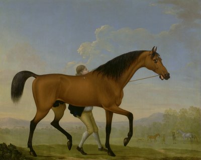 Le cheval bai du duc d