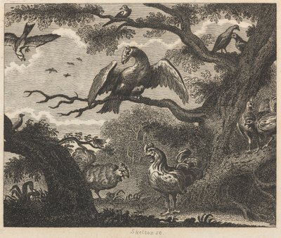 Le Vautour, le Moineau et autres oiseaux - William Skelton