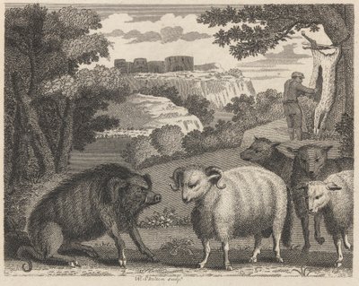 Le sanglier et le bélier - William Skelton