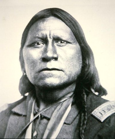 Ours blanc - William Soule