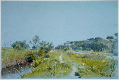 - William Stanley Haseltine