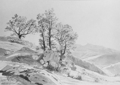 - William Stanley Haseltine