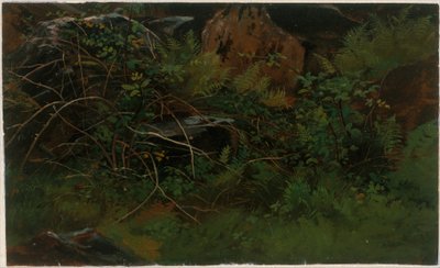  - William Stanley Haseltine