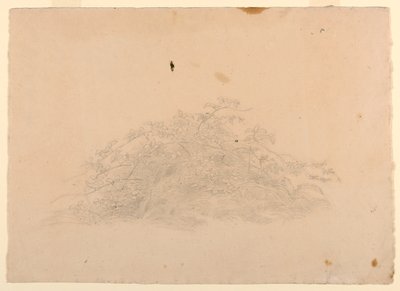 Étude de feuillage - William Stanley Haseltine