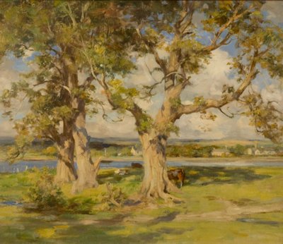 Trois arbres près d