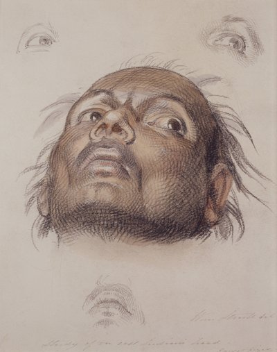 Étude de la tête d