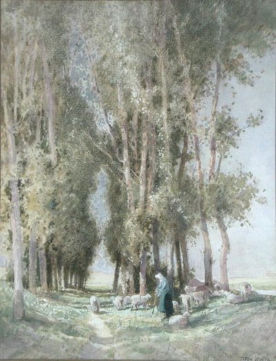 Une Bergère et son Troupeau, Hollande - William Tatton Winter