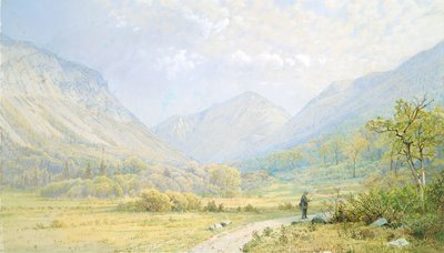 Franconia Notch, New Hampshire, 1872 - William Trost Richards