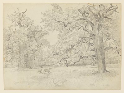 Paysage, Darmstadt, Allemagne - William Trost Richards