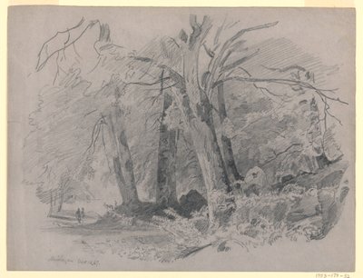 Paysage, Meiringen, Suisse - William Trost Richards