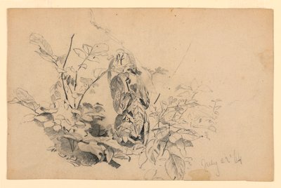 Étude de feuillage - William Trost Richards