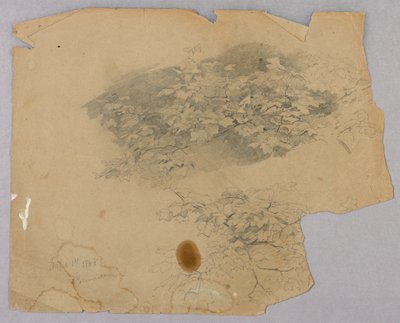Étude de feuillage - William Trost Richards