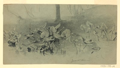 Étude de feuillage - William Trost Richards