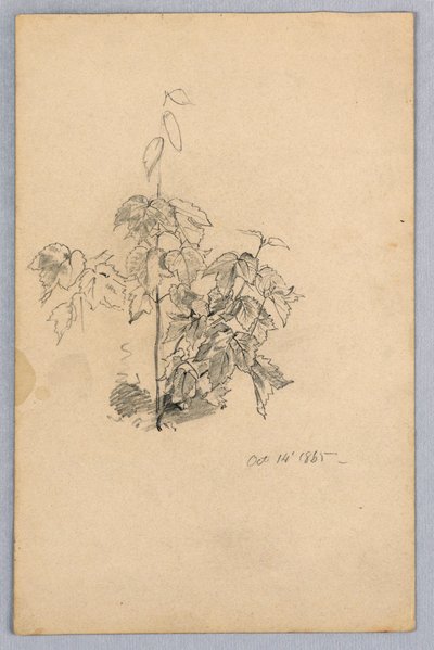 Étude de feuillage - William Trost Richards