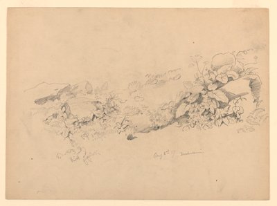 Étude de feuillage, Trachselwald, Berne, Suisse - William Trost Richards
