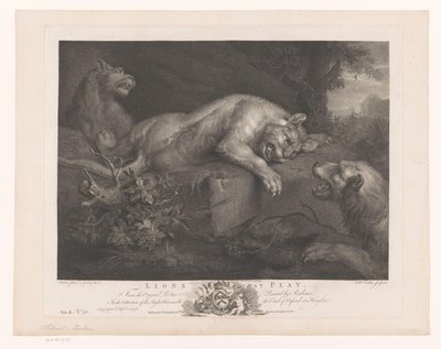 Trois lions jouant - William Walker