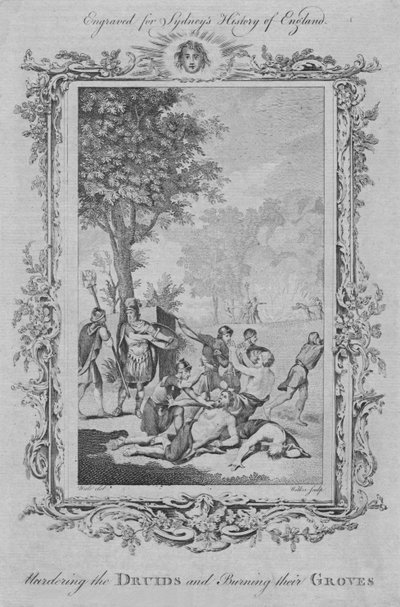 Meurtre des druides et brûlage de leurs bosquets, 1773 - William Walker