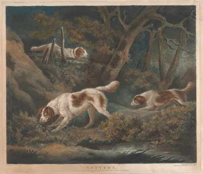 [Chasse] : Setters - William Ward