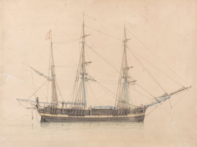 Le Baleinier "Truelove" de Hull - William Ward