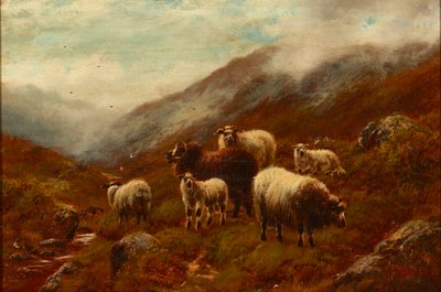 Moutons des Highlands sur une colline - William Watson